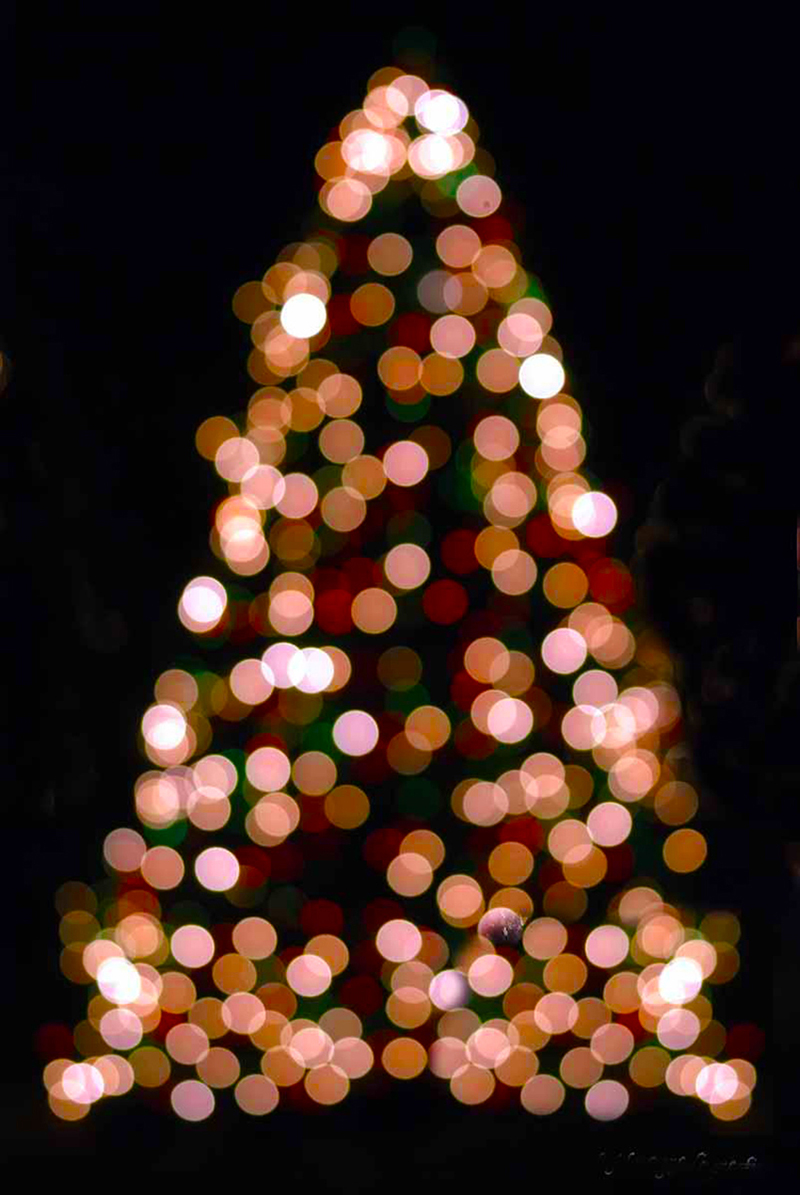 b2bcards corporate christmas eacrd ref:b2b-ecards-abstract-christmas-tree-colours-cream-632.jpg, Abstract,Christmas Tree, Colours,Cream