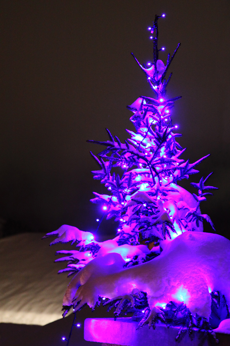 b2bcards corporate christmas eacrd ref:b2b-ecards-christmas-tree-purple-pink-745.jpg, Christmas Tree, Purple,Pink