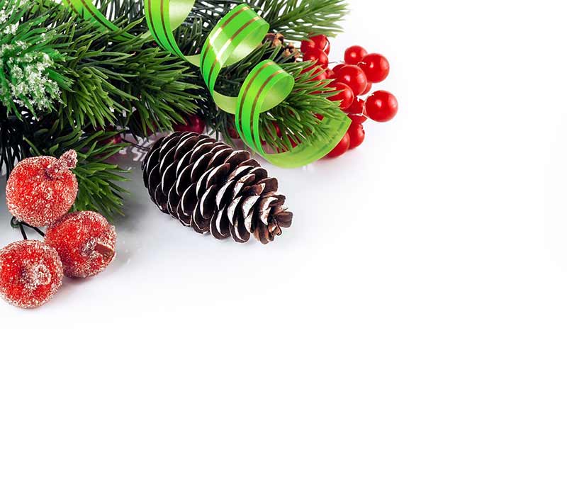 b2bcards corporate christmas eacrd ref:b2bcards-wreath-cones-ribbons-berries.jpg, Wreaths,Fir,Cones,Ribbons, Red,White,Green