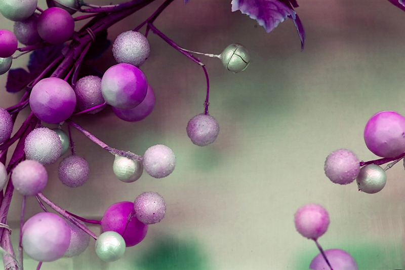 b2bcards corporate christmas eacrd ref:b2b-ecards-berries-pink-fuschia-475.jpg, Berries, Pink,Fuschia