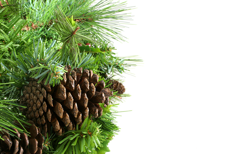 b2bcards corporate christmas eacrd ref:b2b-ecards-pine-cones-green-brown-432.jpg, Pine Cones, Green,Brown