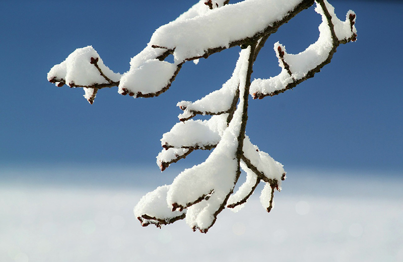b2bcards corporate christmas eacrd ref:b2b-ecards-scenery-frost-snow-blue-white-742.jpg, Scenery,Frost,Snow, Blue,White
