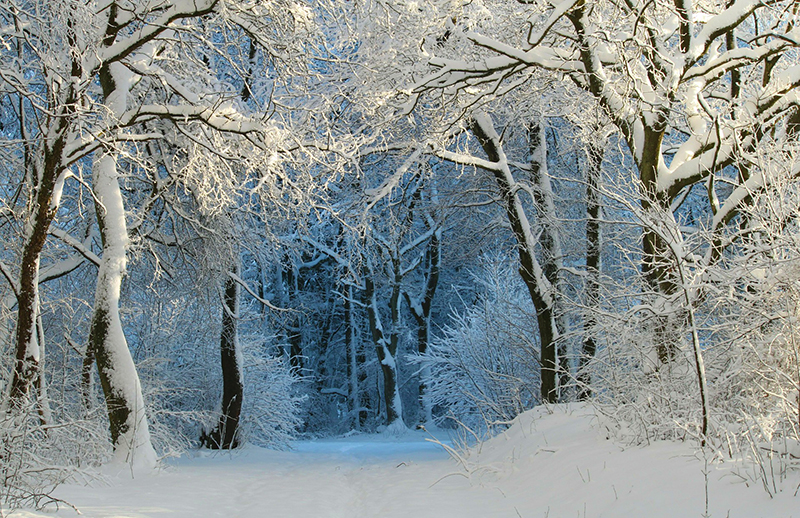 b2bcards corporate christmas eacrd ref:b2b-ecards-scenery-snow-colours-714.jpg, Scenery,Snow, Colours